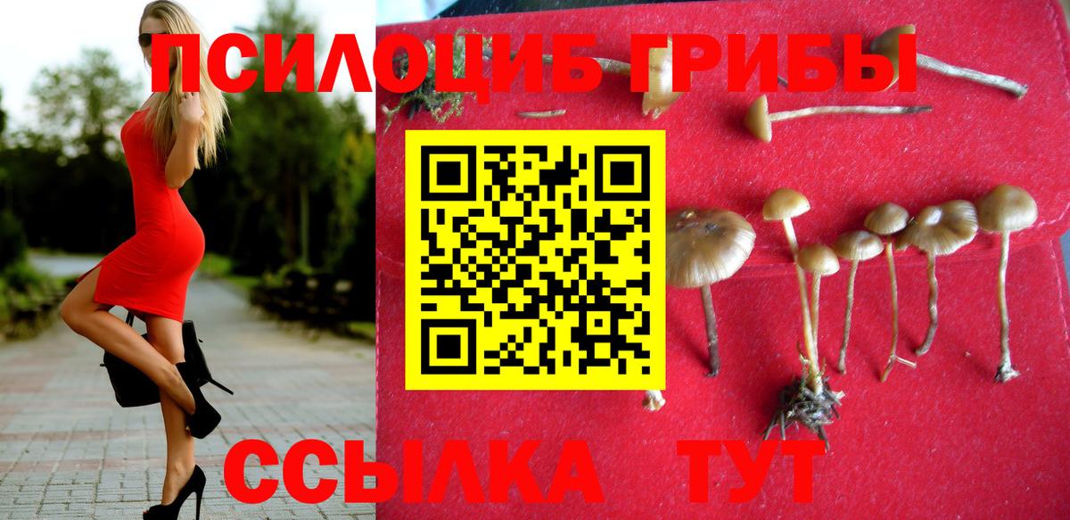 купить закладку  Псилоцибиновые грибы GOLDEN TEACHER  Вход с VPN  Петрозаводск 