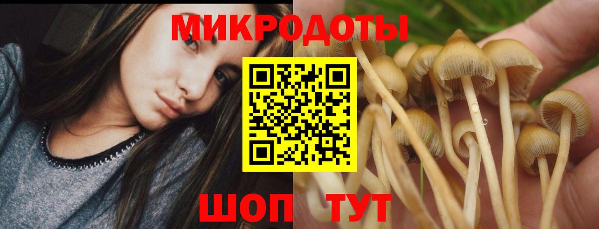 Псилоцибиновые грибы ЛСД Петрозаводск